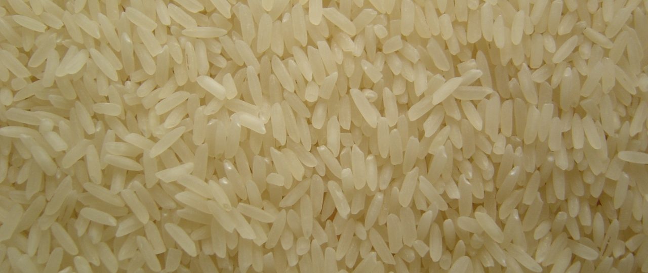 white_rice_grains (1280x960)